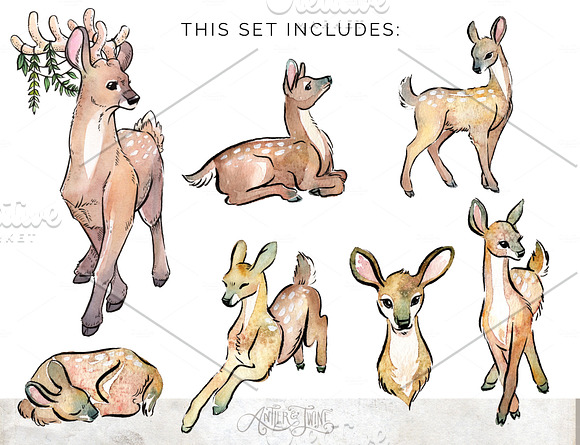 Watercolor Fawns Clipart Set in Illustrations - product preview 1