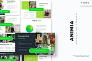 Animia - Google Slides Template