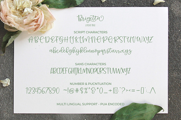 Bargetta Font Duo in Script Fonts - product preview 6