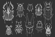 Vector Set Sketches Beetle