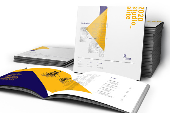 Company Profile Pack in Brochure Templates - product preview 2