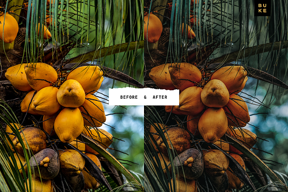 Hawaii Tropical Lightroom Preset in Add-Ons - product preview 2