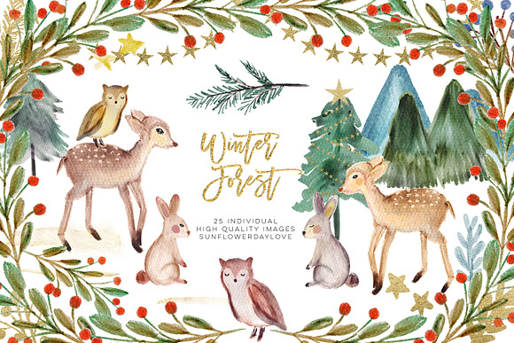 Winter Woodland Animals Clipart in Illustrations - product preview 1