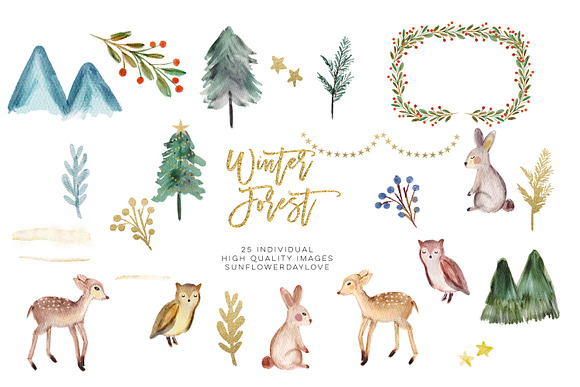 Winter Woodland Animals Clipart in Illustrations - product preview 3