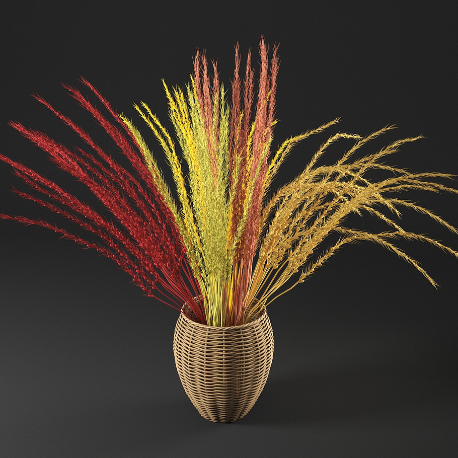 dry decorative plant in Objects - product preview 2