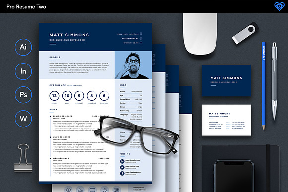 Pro Resume 2 in Letter Templates - product preview 1