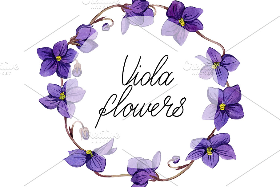 Viola flowers in Illustrations - product preview 8