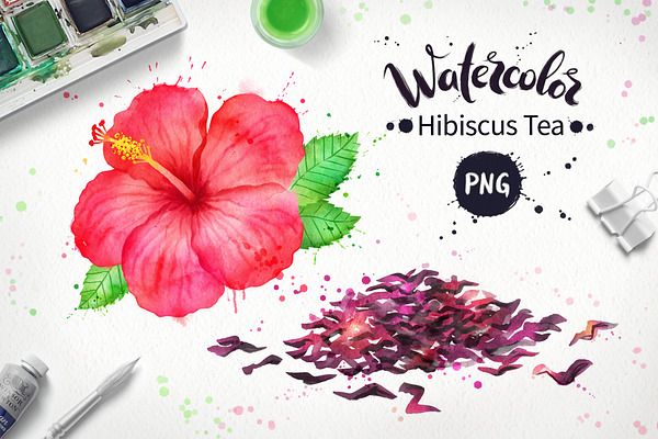 Hibiscus Tea Watercolor