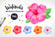 Hibiscus Flowers Watercolor