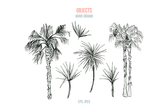 Tropical Paradise - design set in Illustrations - product preview 2