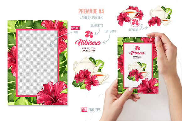Tropical Paradise - design set in Illustrations - product preview 5