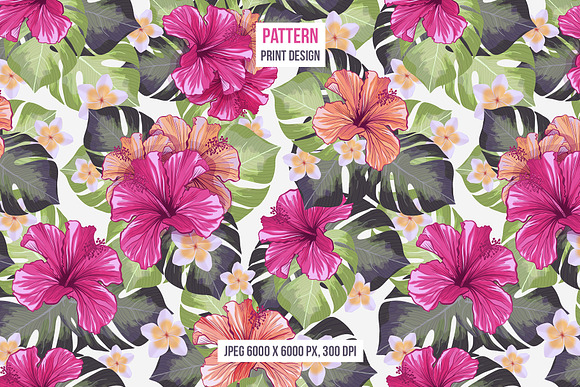 Tropical Paradise - design set in Illustrations - product preview 8