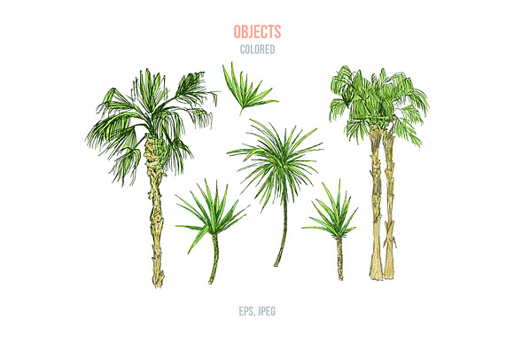 Tropical Paradise - design set in Illustrations - product preview 9