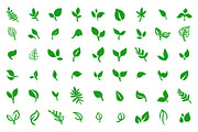 Ecological logo with leaves
