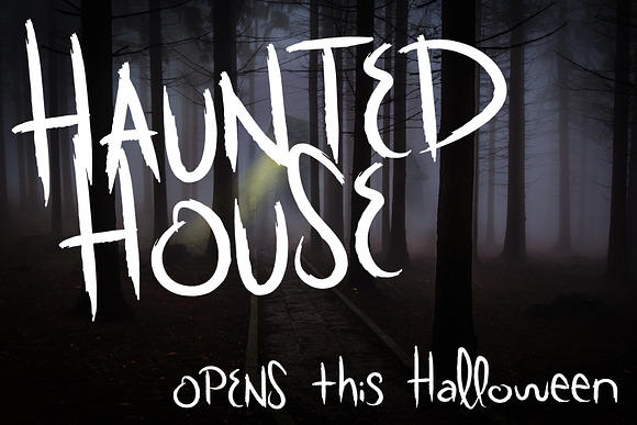 Scratchy Door Halloween Font in Scary Fonts - product preview 5