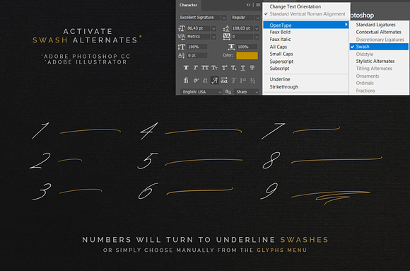 Quick Signature Pro in Signature Fonts - product preview 17