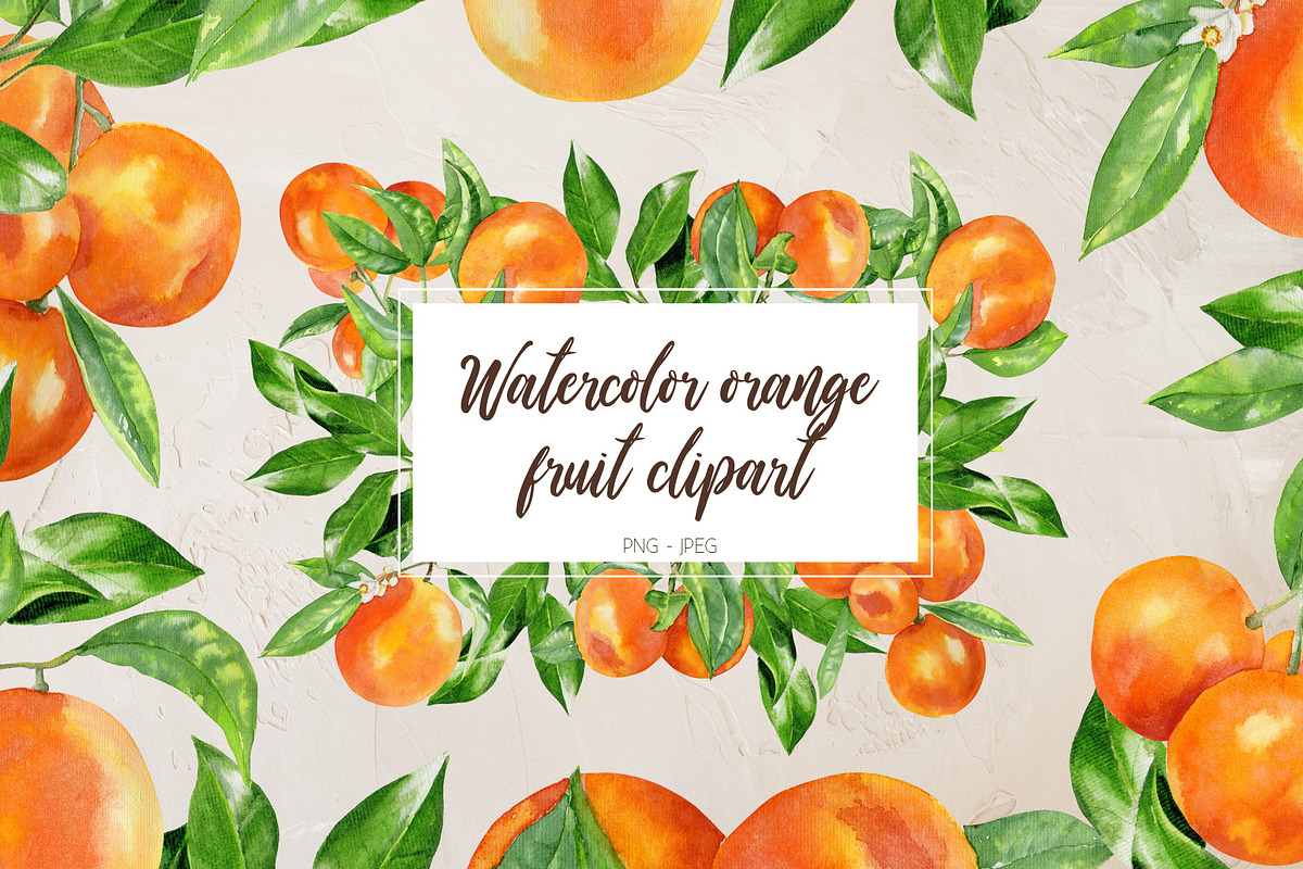 Watercolor orange fruit clipart in Illustrations - product preview 8