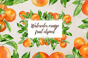 Watercolor orange fruit clipart