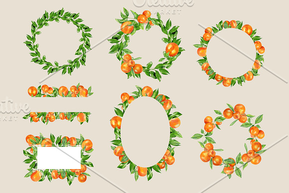 Watercolor orange fruit clipart in Illustrations - product preview 2