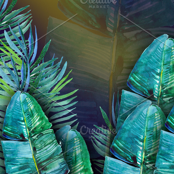 Watercolor tropical background in Illustrations - product preview 3