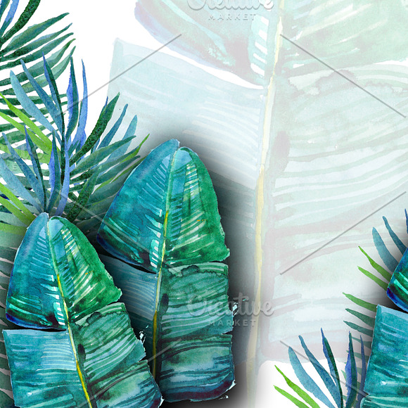Watercolor tropical background in Illustrations - product preview 6