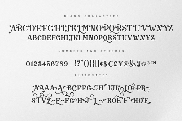 Biago Font + BONUS in Sans-Serif Fonts - product preview 5