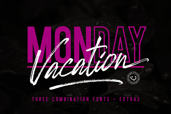 Monday Vacation + Extras in Script Fonts - product preview 12