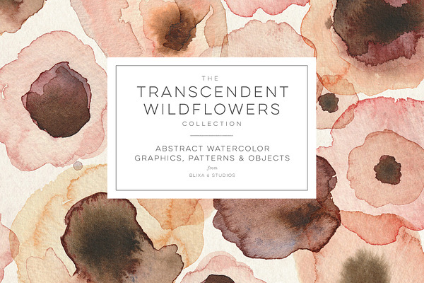 Transcendent Wildflowers Collection