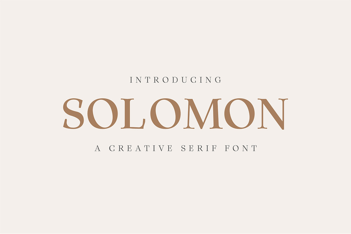 Solomon Serif Font Family in Serif Fonts - product preview 8