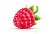 Raspberry. Fresh organic berry.