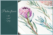 Watercolor Flower Protea