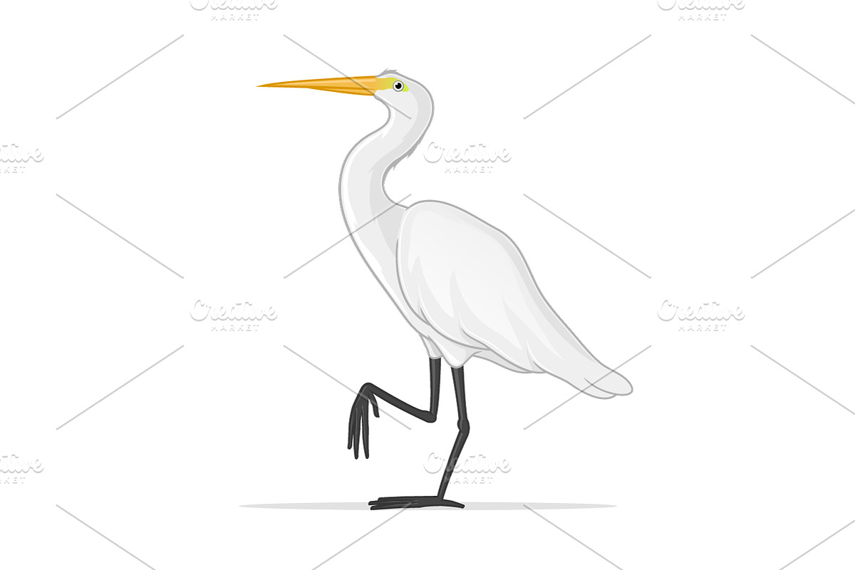 White Egret in Illustrations - product preview 8