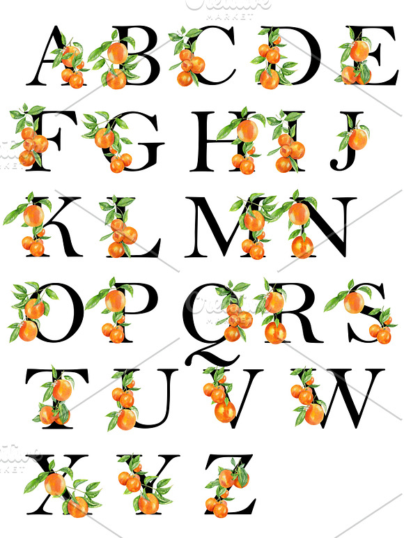 Watercolor orange fruit clipart in Illustrations - product preview 5