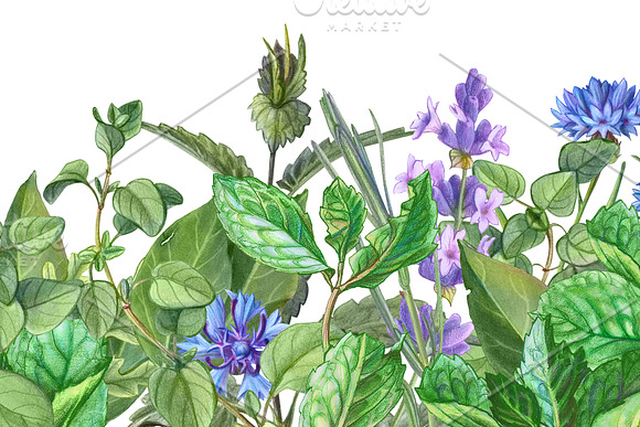 Seamless Floral Banner Illustration in Patterns - product preview 1