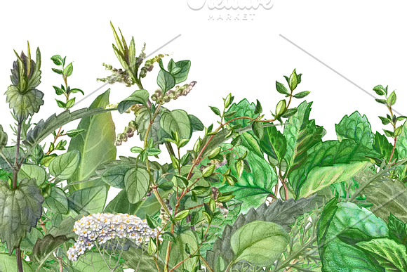 Seamless Floral Banner Illustration in Patterns - product preview 2