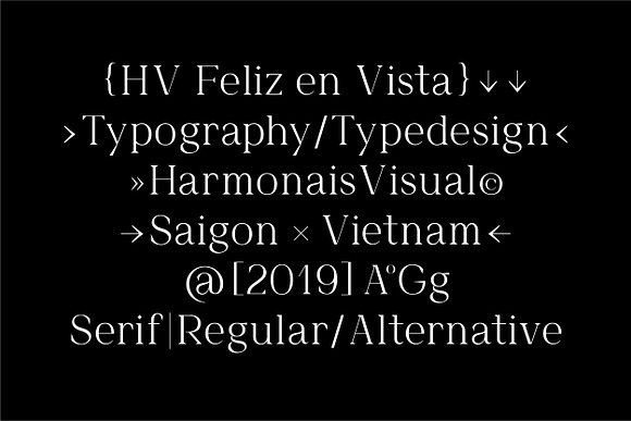 Feliz & Sim - Font Duo in Serif Fonts - product preview 23