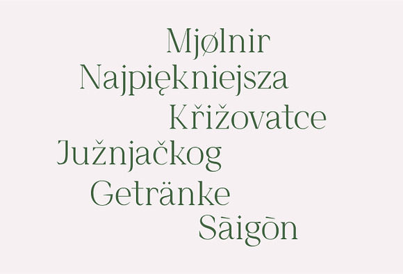 Feliz & Sim - Font Duo in Serif Fonts - product preview 35
