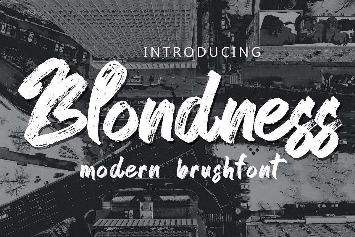 Blondness in Script Fonts - product preview 8