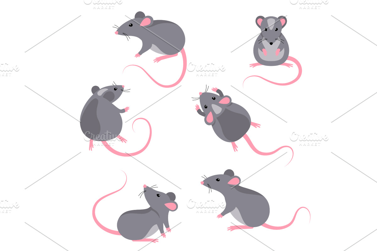 Set of rats characters in Illustrations - product preview 8