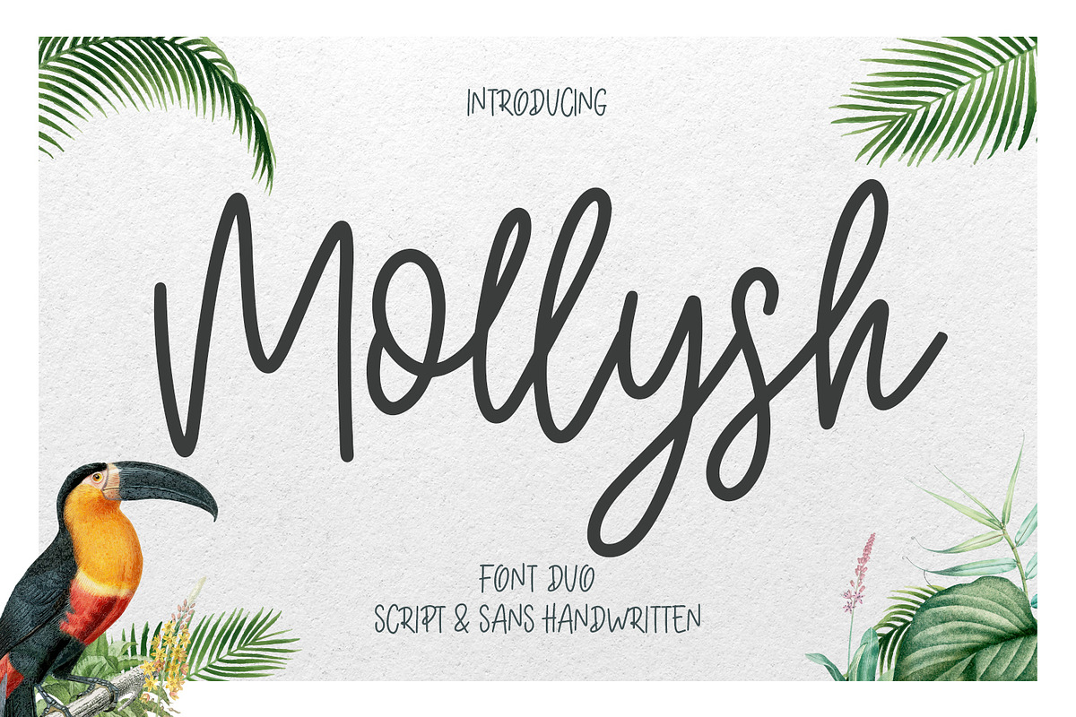 Mollysh Calligraphy Font in Script Fonts - product preview 8