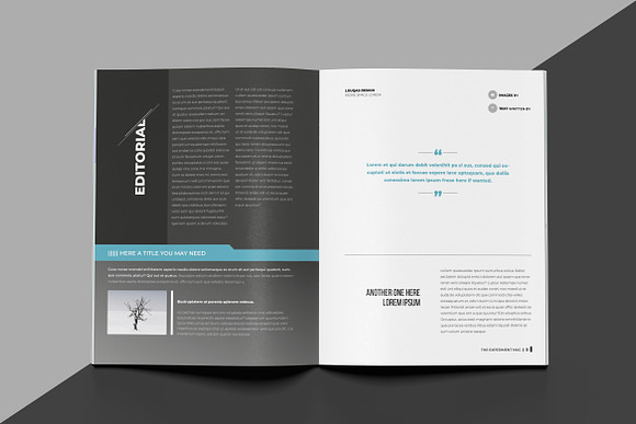 Experiment Indesign Template in Magazine Templates - product preview 1