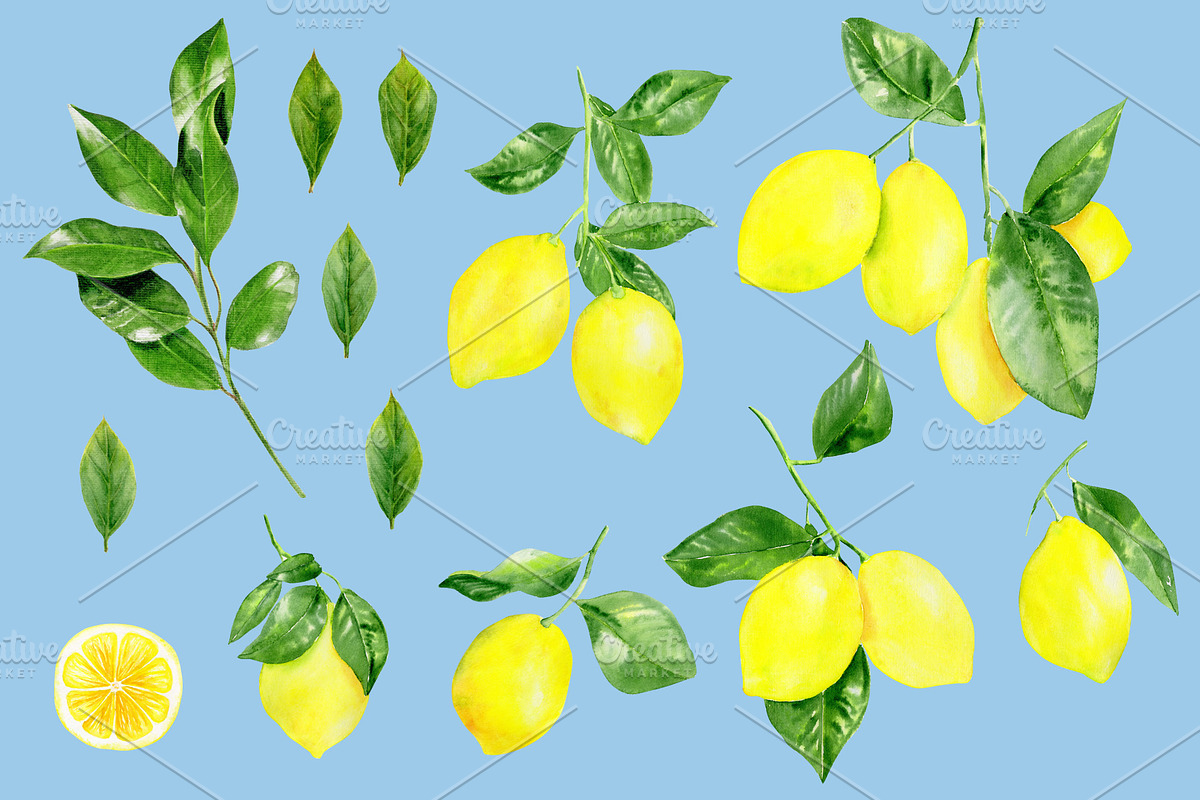Watercolor lemon fruit clipart in Illustrations - product preview 8