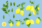 Watercolor lemon fruit clipart