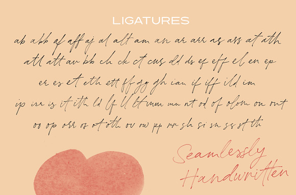 The Redstock - Handwritten Script in Display Fonts - product preview 15