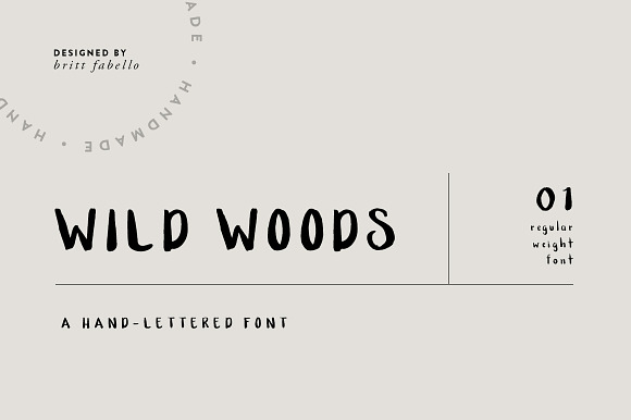 Wild Woods / hand lettered font in Sans-Serif Fonts - product preview 5