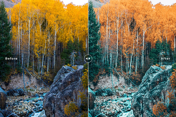 Aspen Pro Lightroom Presets in Add-Ons - product preview 5