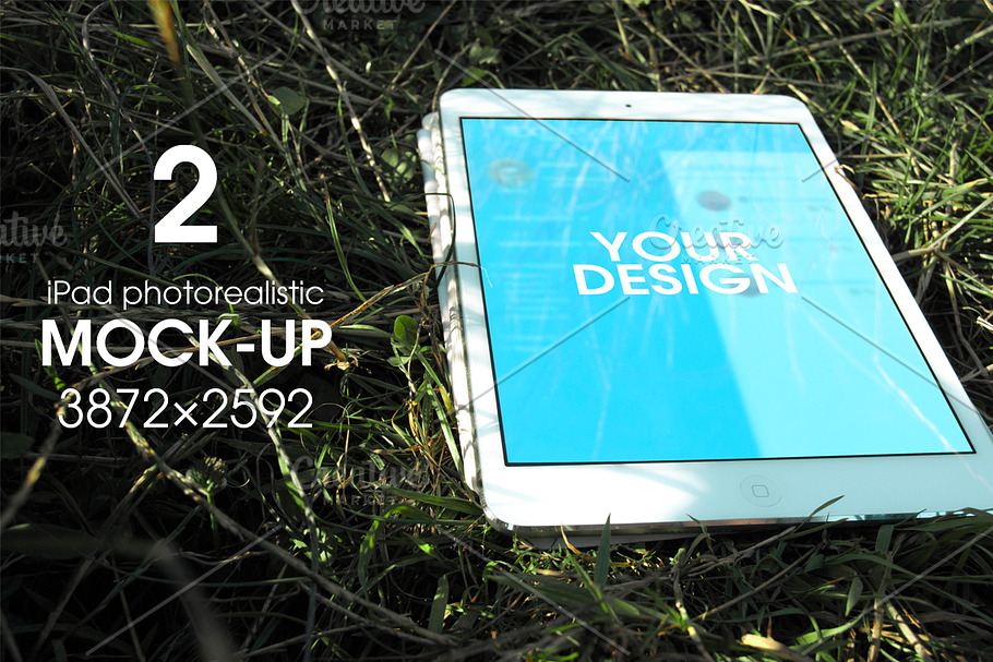Mock-up laptop on the grass. in Mobile & Web Mockups - product preview 8