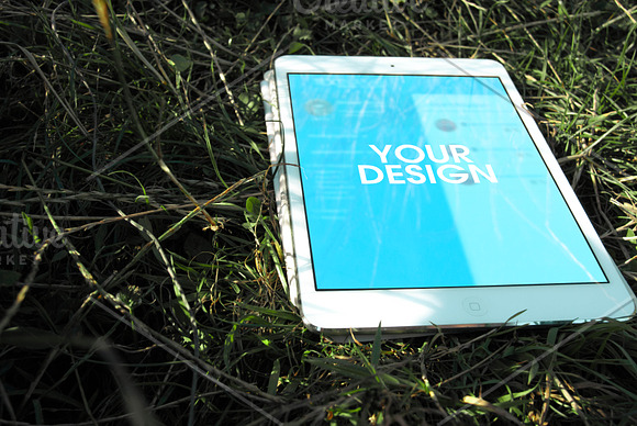 Mock-up laptop on the grass. in Mobile & Web Mockups - product preview 1