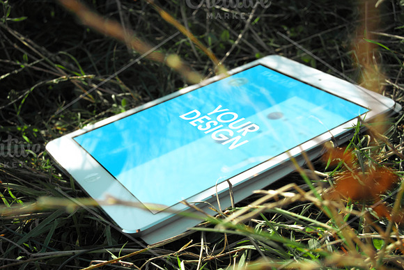 Mock-up laptop on the grass. in Mobile & Web Mockups - product preview 2