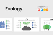 Ecology Diagrams Template